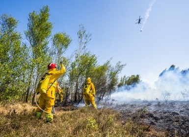 Brandweerlieden aan het werk bij natuurbrand